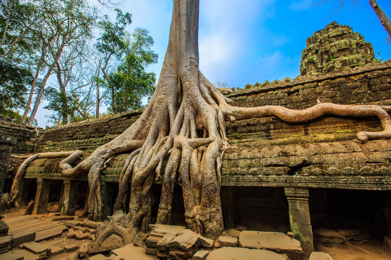 Family Journey Through Cambodia