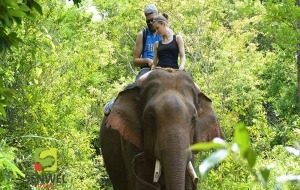 Cambodia Adventure Tour