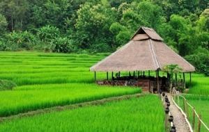 Kamu Lodge Experience