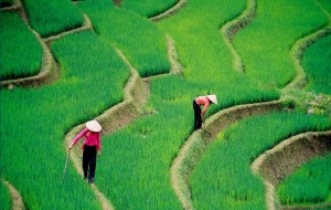 Luang Prabang to Tonkin Mountain via border 14 days