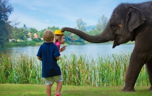 Memorable family holiday