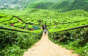 Singapore and Malaysia overview