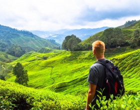 Off the beaten track