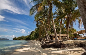 Hidden treasures of Sumatra