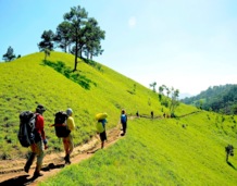 Trekking Tours